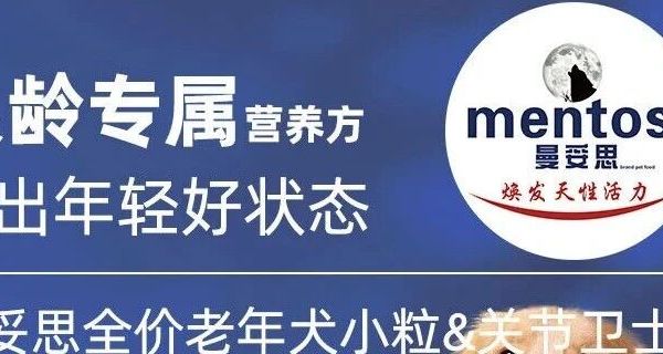 老年犬家长必看！曼妥思狗粮，守护毛孩子的晚年幸福