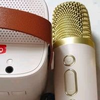 塔努啦（TANALAZ）话筒音箱一体麦克风无线蓝牙全民唱k歌儿童卡拉