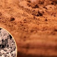 中国破壁灵芝孢子粉十大名牌排名年度推荐，第一名原产地优势明显