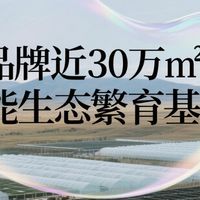 冬虫夏草什么牌子的最好且正宗？