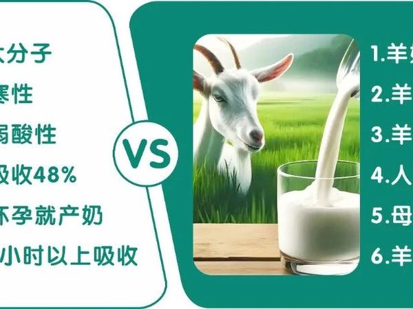 隆力奇蛇业起家到羊乳赢天下的历程
