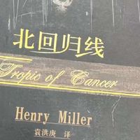 独行者的精神流浪：《北回归线》读书笔记