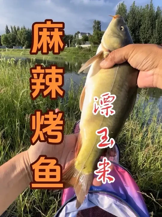学会我的钓法，随时随刻就可以钓一场鱼。#爱生活爱钓鱼#2025dou来钓鱼#钓鱼技巧#钓鱼的乐趣只有钓鱼人懂 #钓鱼王