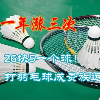 一年涨三次：26块5一个球！打羽毛球成贵族运动？