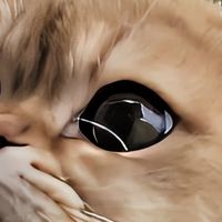 国产猫粮排名前十品牌出炉！国产猫粮推荐，看看哪款最适合你家猫