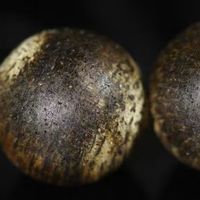 无锡寻香指南：解锁无锡正宗沉香购买地，新手避坑黄金法则