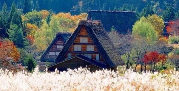 森林与溪流之国｜世界遗产"白川乡"的秋日魅影