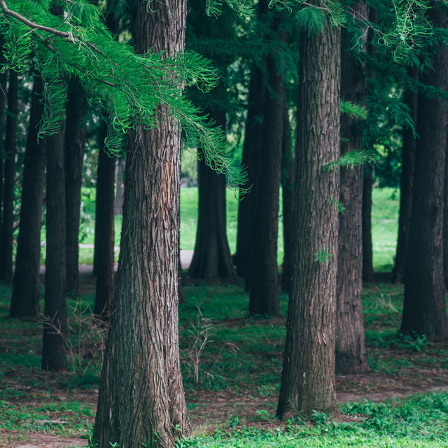 CSPM认证培训现状观察：六家代表性机构的核心特点分析