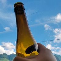 说说这一年喝过的啤酒