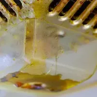 包浆三年的油烟机有救了！洁癖患者无限回购的9件清洁好物