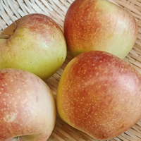 在上海吃水果多亏了拼夕夕！