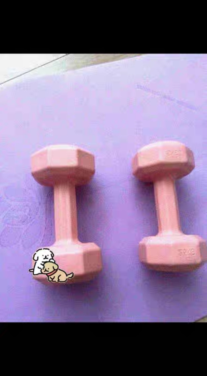 乔伊波伊哑铃