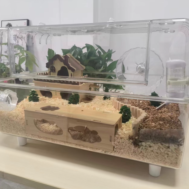 🐹被问爆的 60cm 仓鼠豪华别墅，简直太哇塞啦！