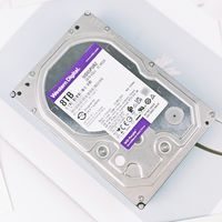 严酷环境也能不间断运行，监控硬盘的理想型——西部数据紫盘