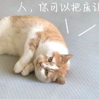 人，可以把床让给咪吗？