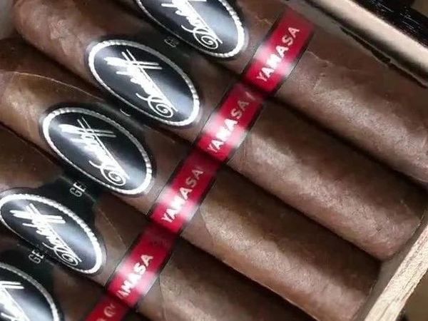 Davidoff Yamasa Robusto