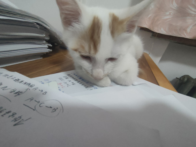 京东京造猫咪驱虫