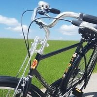 26寸凤凰单车复古设计评测