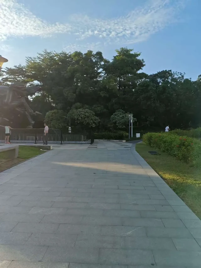 跑步打卡。清晨六点，我踩着微凉的风出门跑步，脚上是新换的injinji运动袜，目标是熟悉的8公里多路程。前6公里跑得格外顺畅，袜子贴合脚面不磨不滑，鞋垫稳稳承托着脚掌，每一步都透着踏实。可到了7公里，