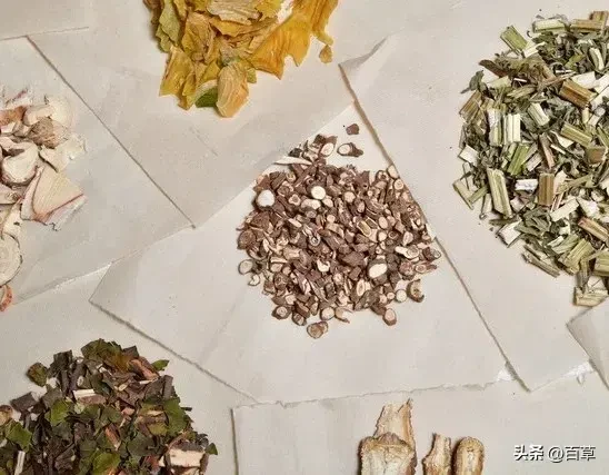 医圣张仲景妇科名方：调理子宫肌瘤的辨证思路与用药指南