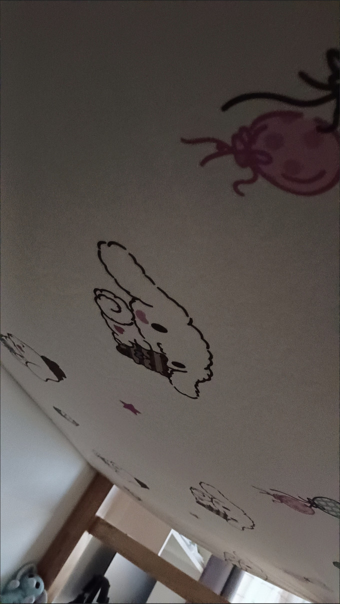 蚊帐
