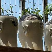 上海一小伙，因“怪异盆栽”引数万人围观，网友：好想替邻居揍他