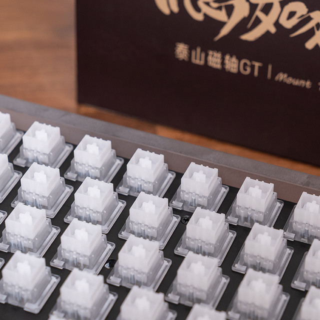 泰山磁轴 GT 评测：以 “稳” 破局，重新定义磁轴体验