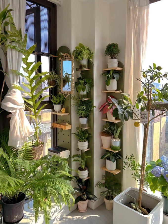 鲜花绿植