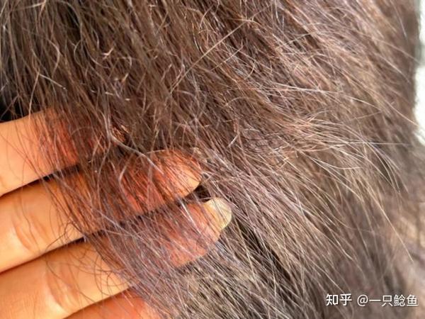 吹风机什么牌子的质量比较好风力大?