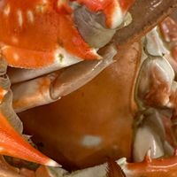 秋风起，梭子蟹肥美时节