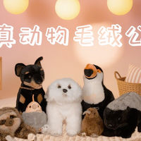 毛绒玩具 篇零：被这只土拨鼠萌到心跳加速！茶山筑萌出的毛绒玩具，质感绝了