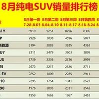 2025年8月纯电SUV销量榜单揭晓：Model Y稳居榜首，小米YU7强势崛起
