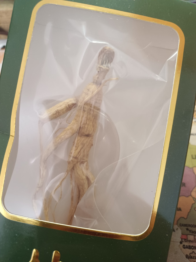 山林百草基础健康