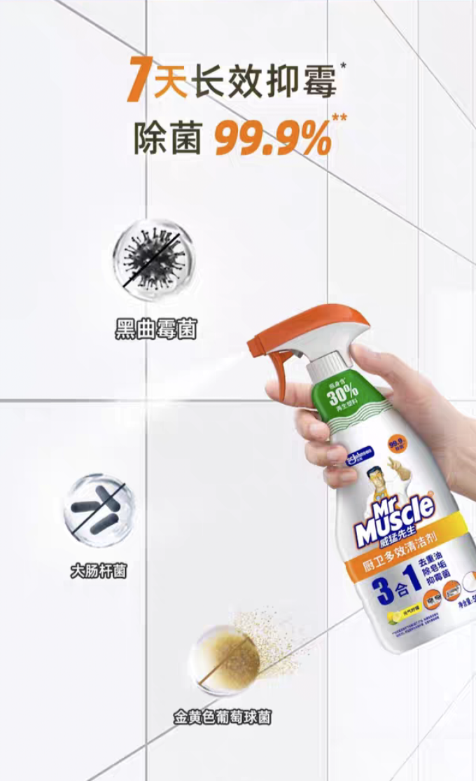 威猛先生居室清洁