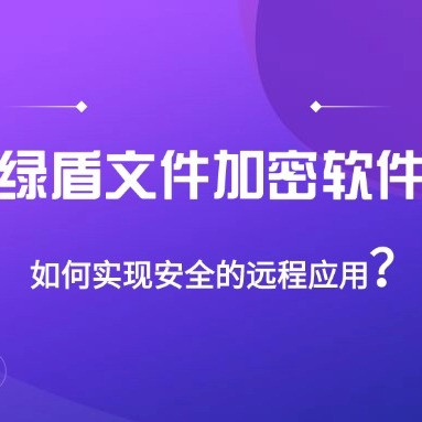 绿盾文件加密软件如何实现安全的远程应用？