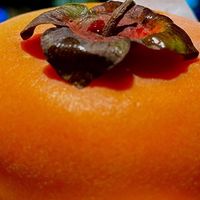 秋日街头的暖心滋味，从栗子香到火锅热，每口都是季节的馈赠