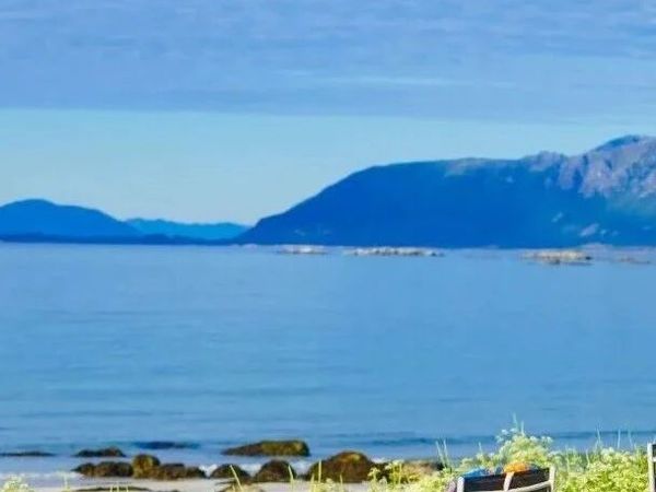 【五一出行健康指南】畅游无忧，安全健康全攻略！