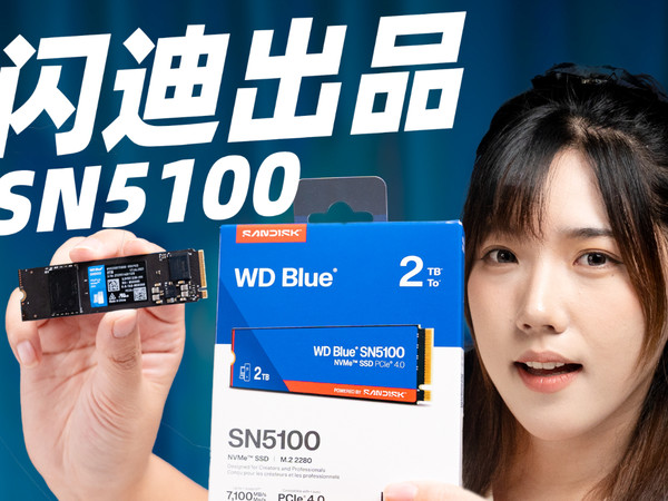 闪迪出品WD Blue SN5100 NVMe SSD评测