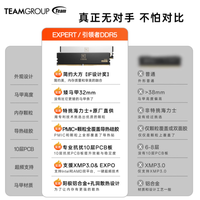 十铨科技 引领者 DDR5 台式机内存：释放创作潜能的强大助力