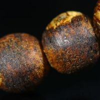 2025年市场乱象频发，奇楠沉香如何辨别真假？从特征到避坑全解析

