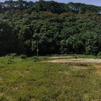 高黎贡山徒步旅游指南