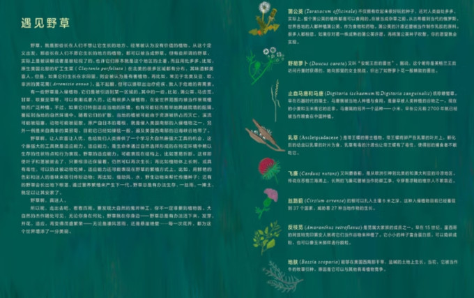 少儿读物