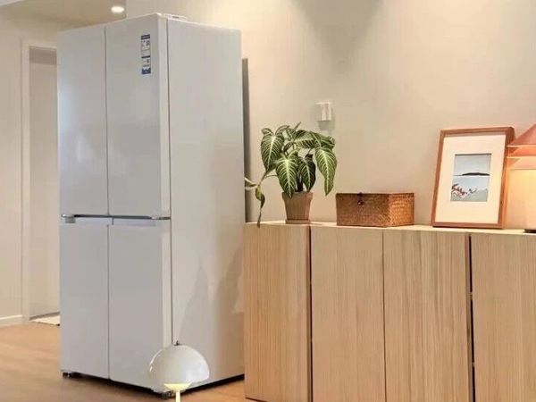 2025年公认最值得买的10款海尔冰箱推荐