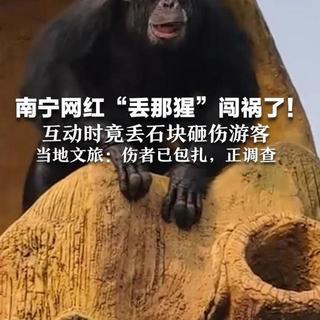 长隆黑猩猩砸伤幼童引质疑：动物园防护缺失与动物应激隐患何解？