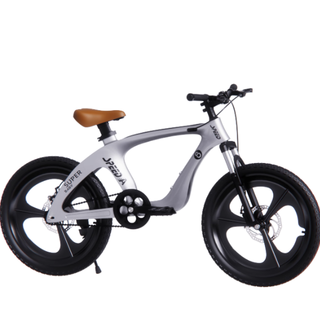 🚲被邻居追着问的儿童自行车，到底啥来头？