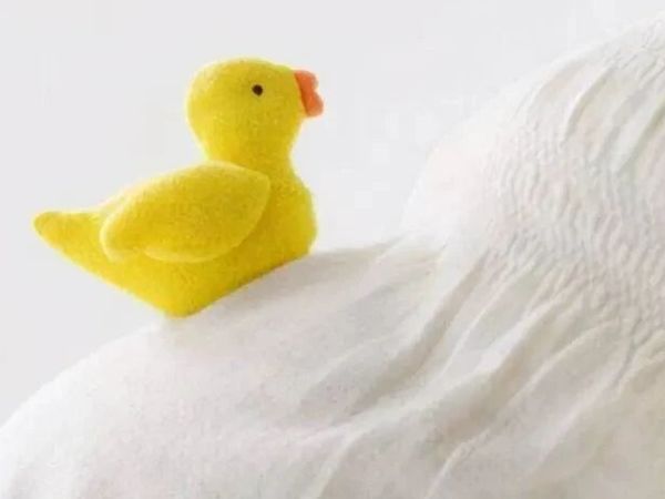 惠氏全城孕妈及0-12个月内宝妈免费公益活动，9月14日周日下午《婴幼儿常见问题、疾病预防及护理》，特邀南方医院教授现场分享