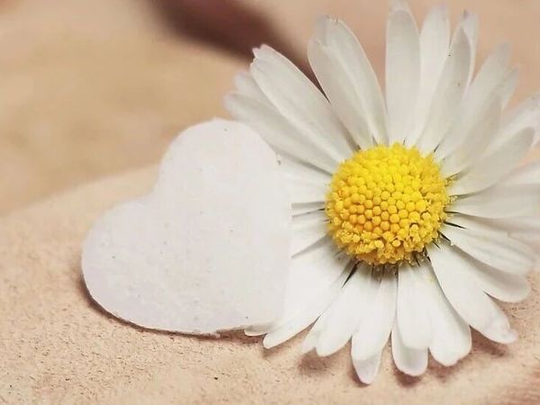 你能想象吗？南京在帮全国人民抗衰紧致美白