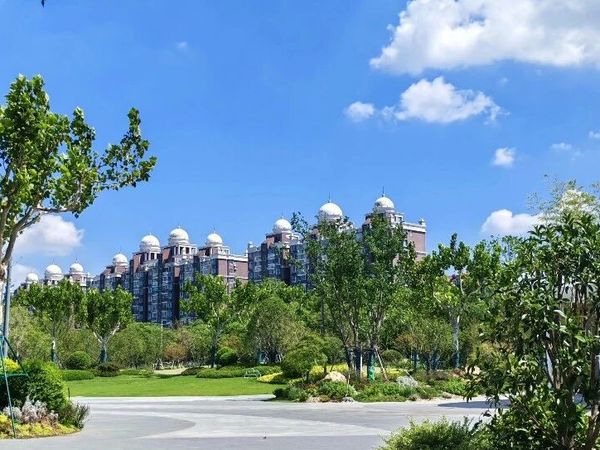 她是江西人，嫁在上海浦东乡村，现在生活得怎么样？