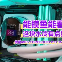 装机不求人 篇零：这块水冷竟然能“摸鱼”看剧？微星P13 也太会玩了！