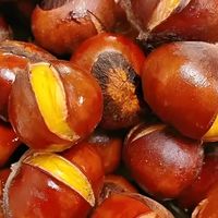 秋天路过街角总忍不住买一袋的糖炒栗子，这家店的香味能飘三条街